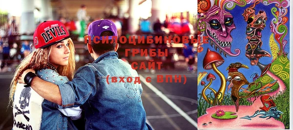 гидропоника Абаза