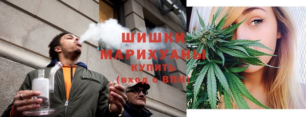 сатива Абинск