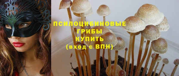 СК Гусь-Хрустальный