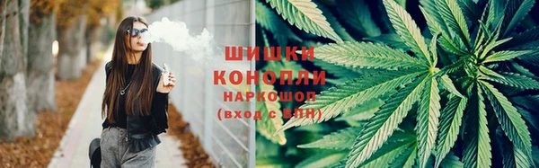сатива Абинск