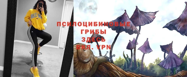 Альфа ПВП Абдулино