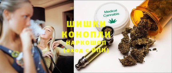 сатива Абинск