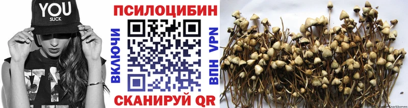 Псилоцибиновые грибы ЛСД  даркнет сайт  Туапсе 